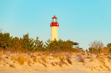 Kırmızı tepeli canlı sarı bir deniz feneri açık mavi gökyüzüne karşı dimdik duruyor, kıyı çalılarının ve alçak bir binanın üzerinden bakıyor. Burası New Jersey 'deki Cape May Point feneri..