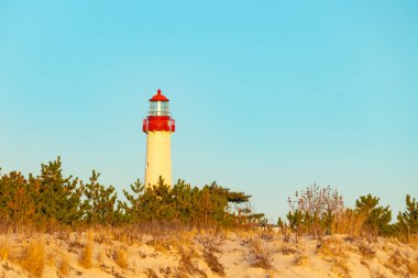 Kırmızı tepeli canlı sarı bir deniz feneri açık mavi gökyüzüne karşı dimdik duruyor, kıyı çalılarının ve alçak bir binanın üzerinden bakıyor. Burası New Jersey 'deki Cape May Point feneri..