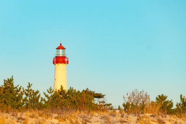 Kırmızı tepeli canlı sarı bir deniz feneri açık mavi gökyüzüne karşı dimdik duruyor, kıyı çalılarının ve alçak bir binanın üzerinden bakıyor. Burası New Jersey 'deki Cape May Point feneri..