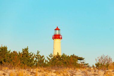 Kırmızı tepeli canlı sarı bir deniz feneri açık mavi gökyüzüne karşı dimdik duruyor, kıyı çalılarının ve alçak bir binanın üzerinden bakıyor. Burası New Jersey 'deki Cape May Point feneri..
