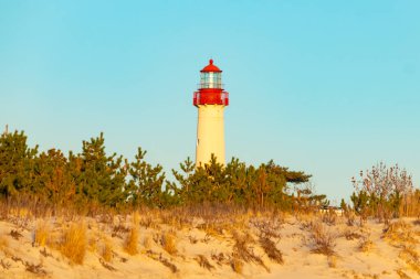 Kırmızı tepeli canlı sarı bir deniz feneri açık mavi gökyüzüne karşı dimdik duruyor, kıyı çalılarının ve alçak bir binanın üzerinden bakıyor. Burası New Jersey 'deki Cape May Point feneri..