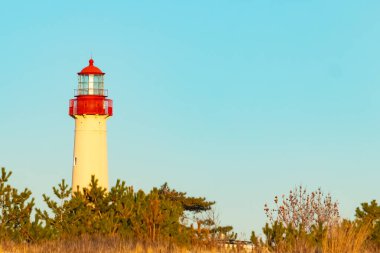 Kırmızı tepeli canlı sarı bir deniz feneri açık mavi gökyüzüne karşı dimdik duruyor, kıyı çalılarının ve alçak bir binanın üzerinden bakıyor. Burası New Jersey 'deki Cape May Point feneri..