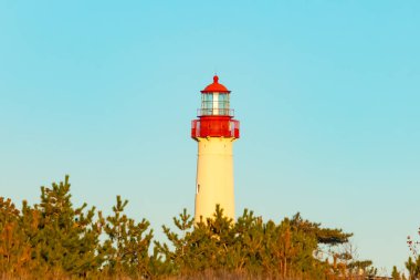 Kırmızı tepeli canlı sarı bir deniz feneri açık mavi gökyüzüne karşı dimdik duruyor, kıyı çalılarının ve alçak bir binanın üzerinden bakıyor. Burası New Jersey 'deki Cape May Point feneri..
