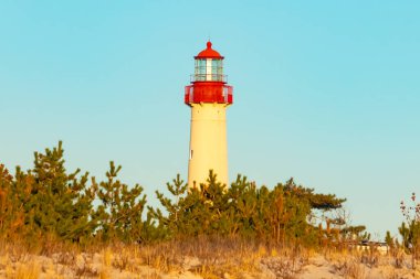 Kırmızı tepeli canlı sarı bir deniz feneri açık mavi gökyüzüne karşı dimdik duruyor, kıyı çalılarının ve alçak bir binanın üzerinden bakıyor. Burası New Jersey 'deki Cape May Point feneri..
