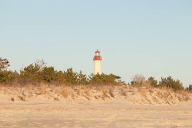 Kırmızı tepeli canlı sarı bir deniz feneri açık mavi gökyüzüne karşı dimdik duruyor, kıyı çalılarının ve alçak bir binanın üzerinden bakıyor. Burası New Jersey 'deki Cape May Point feneri..