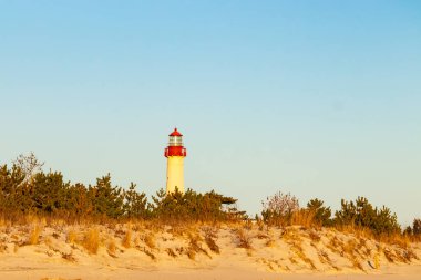 Kırmızı tepeli canlı sarı bir deniz feneri açık mavi gökyüzüne karşı dimdik duruyor, kıyı çalılarının ve alçak bir binanın üzerinden bakıyor. Burası New Jersey 'deki Cape May Point feneri..