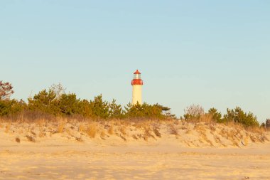 Kırmızı tepeli canlı sarı bir deniz feneri açık mavi gökyüzüne karşı dimdik duruyor, kıyı çalılarının ve alçak bir binanın üzerinden bakıyor. Burası New Jersey 'deki Cape May Point feneri..