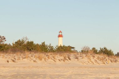 Kırmızı tepeli canlı sarı bir deniz feneri açık mavi gökyüzüne karşı dimdik duruyor, kıyı çalılarının ve alçak bir binanın üzerinden bakıyor. Burası New Jersey 'deki Cape May Point feneri..