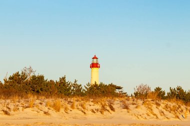 Kırmızı tepeli canlı sarı bir deniz feneri açık mavi gökyüzüne karşı dimdik duruyor, kıyı çalılarının ve alçak bir binanın üzerinden bakıyor. Burası New Jersey 'deki Cape May Point feneri..
