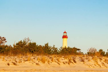 Kırmızı tepeli canlı sarı bir deniz feneri açık mavi gökyüzüne karşı dimdik duruyor, kıyı çalılarının ve alçak bir binanın üzerinden bakıyor. Burası New Jersey 'deki Cape May Point feneri..