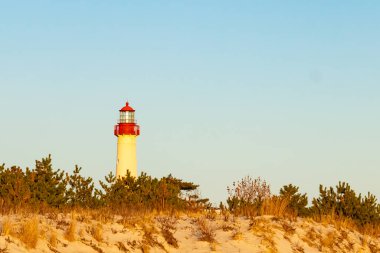 Kırmızı tepeli canlı sarı bir deniz feneri açık mavi gökyüzüne karşı dimdik duruyor, kıyı çalılarının ve alçak bir binanın üzerinden bakıyor. Burası New Jersey 'deki Cape May Point feneri..