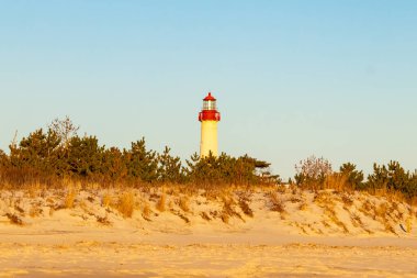 Kırmızı tepeli canlı sarı bir deniz feneri açık mavi gökyüzüne karşı dimdik duruyor, kıyı çalılarının ve alçak bir binanın üzerinden bakıyor. Burası New Jersey 'deki Cape May Point feneri..