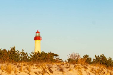 Kırmızı tepeli canlı sarı bir deniz feneri açık mavi gökyüzüne karşı dimdik duruyor, kıyı çalılarının ve alçak bir binanın üzerinden bakıyor. Burası New Jersey 'deki Cape May Point feneri..
