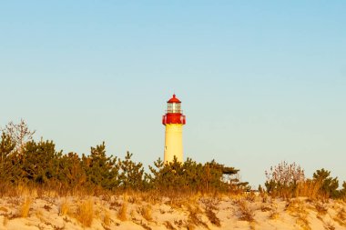 Kırmızı tepeli canlı sarı bir deniz feneri açık mavi gökyüzüne karşı dimdik duruyor, kıyı çalılarının ve alçak bir binanın üzerinden bakıyor. Burası New Jersey 'deki Cape May Point feneri..