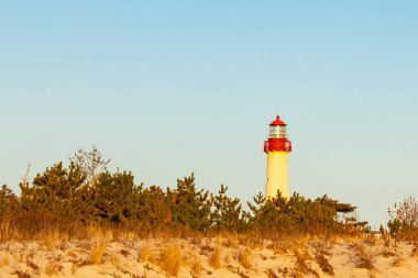 Kırmızı tepeli canlı sarı bir deniz feneri açık mavi gökyüzüne karşı dimdik duruyor, kıyı çalılarının ve alçak bir binanın üzerinden bakıyor. Burası New Jersey 'deki Cape May Point feneri..