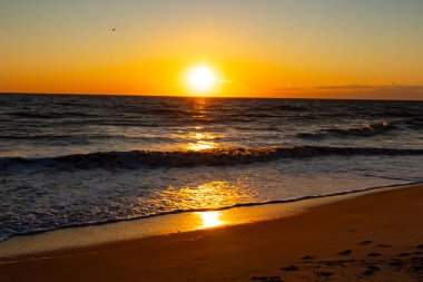 Güneşin ufukta battığı nefes kesici bir okyanus gün batımı dalgalanan mavi suya sıcak bir altın parıltı saçıyor. Huzurlu ve resimli sahil manzarası.