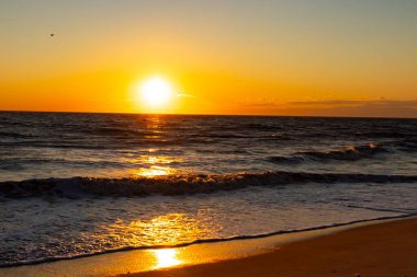 Güneşin ufukta battığı nefes kesici bir okyanus gün batımı dalgalanan mavi suya sıcak bir altın parıltı saçıyor. Huzurlu ve resimli sahil manzarası.
