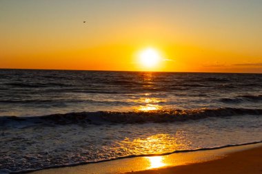 Güneşin ufukta battığı nefes kesici bir okyanus gün batımı dalgalanan mavi suya sıcak bir altın parıltı saçıyor. Huzurlu ve resimli sahil manzarası.