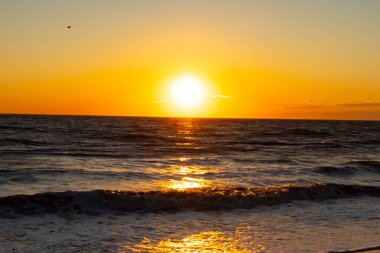 Güneşin ufukta battığı nefes kesici bir okyanus gün batımı dalgalanan mavi suya sıcak bir altın parıltı saçıyor. Huzurlu ve resimli sahil manzarası.