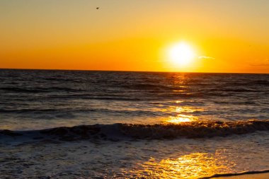Güneşin ufukta battığı nefes kesici bir okyanus gün batımı dalgalanan mavi suya sıcak bir altın parıltı saçıyor. Huzurlu ve resimli sahil manzarası.