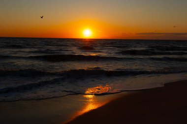 Güneşin ufukta battığı nefes kesici bir okyanus gün batımı dalgalanan mavi suya sıcak bir altın parıltı saçıyor. Huzurlu ve resimli sahil manzarası.
