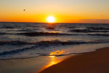 Güneşin ufukta battığı nefes kesici bir okyanus gün batımı dalgalanan mavi suya sıcak bir altın parıltı saçıyor. Huzurlu ve resimli sahil manzarası.