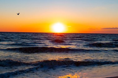 Güneşin ufukta battığı nefes kesici bir okyanus gün batımı dalgalanan mavi suya sıcak bir altın parıltı saçıyor. Huzurlu ve resimli sahil manzarası.