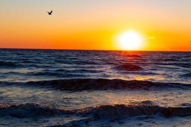 Güneşin ufukta battığı nefes kesici bir okyanus gün batımı dalgalanan mavi suya sıcak bir altın parıltı saçıyor. Huzurlu ve resimli sahil manzarası.