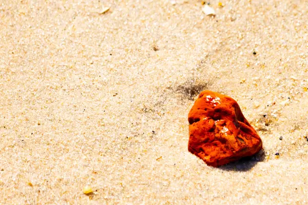 Sandy etrafa saçılmış küçük kabuklar ve çakıl taşları ile, göze çarpan canlı kırmızı bir parça da dahil. Sahil tarama bulma.