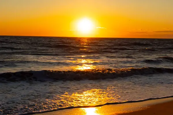 Güneşin ufukta battığı nefes kesici bir okyanus gün batımı dalgalanan mavi suya sıcak bir altın parıltı saçıyor. Huzurlu ve resimli sahil manzarası.