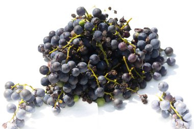 Bu az önce asmamdan topladığım çok güzel bir üzüm kümesi. Bu koyu mor dolgun böğürtlenler burada beyaz bir arka planda oturuyorlar. Yeşil saplar gerçekten göze çarpıyor..