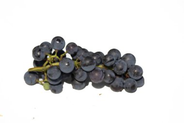 Bu güzel Concord üzümleri benim dedikodularımdan toplandı. Yuvarlak dolgun böğürtlenin koyu mor rengini seviyorum. Yeşil gövde gerçekten göze çarpıyor. Bu, beyaz bir arkaplanla çekilmiş..