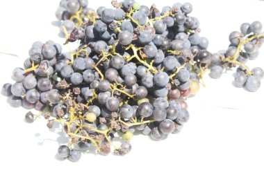 Beyaz arka planda yayılmış bu üzümlerin görünüşüne bayılıyorum. Böğürtlenlerin koyu renkleri yeşil saplardan çıkıyor. Bu meyveler şarap ya da jöle yapabilir..