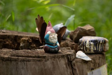 Kelebek kanatlı tuhaf bir bahçe cücesi heykeli, kayalar ve yeşilliklerle çevrili bir ağaç kütüğünün tepesinde oturur ve doğa ya da fantezi temalar için mükemmel büyüleyici ve eğlenceli bir açık hava sahnesi yaratır.