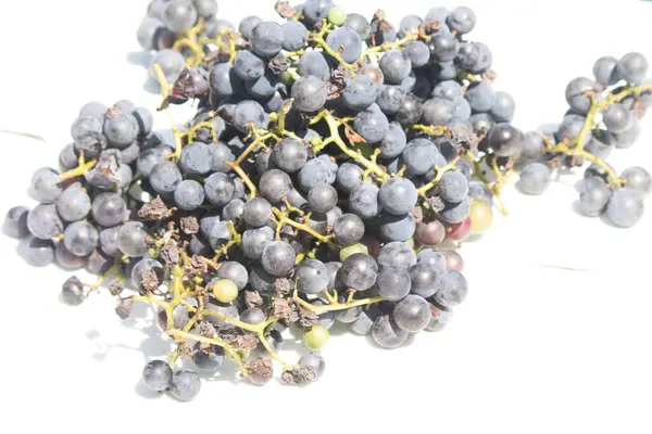 Beyaz arka planda yayılmış bu üzümlerin görünüşüne bayılıyorum. Böğürtlenlerin koyu renkleri yeşil saplardan çıkıyor. Bu meyveler şarap ya da jöle yapabilir..