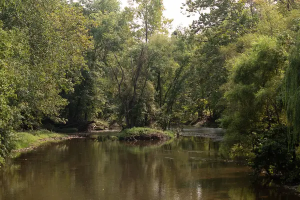 Bereketli yeşil ağaçlar ve yoğun yapraklarla çevrili sakin nehir manzarası yumuşak gün ışığı altında sakin suyu yansıtıyor. Huzurlu doğa rahatlama, açık hava aktiviteleri ya da sakin arka planlar için mükemmeldir..