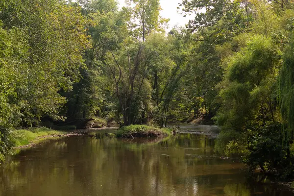 Bereketli yeşil ağaçlar ve yoğun yapraklarla çevrili sakin nehir manzarası yumuşak gün ışığı altında sakin suyu yansıtıyor. Huzurlu doğa rahatlama, açık hava aktiviteleri ya da sakin arka planlar için mükemmeldir..