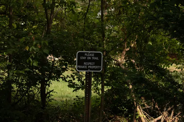 Parkta park yeri yok..