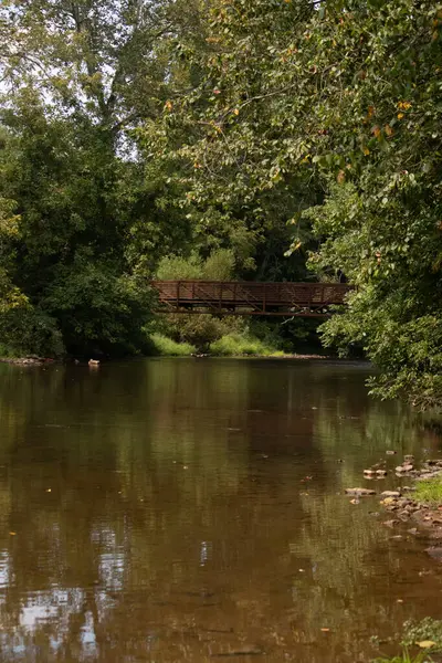 Ormanda çok sakin bir yer burası. Ormanlık alanlarda bir dere akıyor. Yapraklarla dolu yeşil ağaçlar arasında görünen kırmızı bir köprü..
