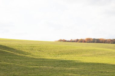 Bu, sonsuza kadar uzanan bir alanın güzel bir görüntüsü. Yemyeşil çimenlerin yuvarlanan tepeleri bulutlu gökyüzü ile parlıyor gibi görünüyor. Sonbahar yaprakları uzaklıktan görülebilir..