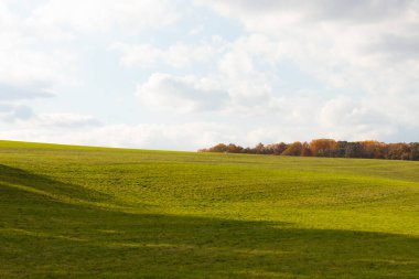 Bu, sonsuza kadar uzanan bir alanın güzel bir görüntüsü. Yemyeşil çimenlerin yuvarlanan tepeleri bulutlu gökyüzü ile parlıyor gibi görünüyor. Sonbahar yaprakları uzaklıktan görülebilir..