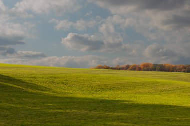 Bu, sonsuza kadar uzanan bir alanın güzel bir görüntüsü. Yemyeşil çimenlerin yuvarlanan tepeleri bulutlu gökyüzü ile parlıyor gibi görünüyor. Sonbahar yaprakları uzaklıktan görülebilir..