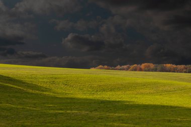 Bu, sonsuza kadar uzanan bir alanın güzel bir görüntüsü. Yemyeşil çimenlerin yuvarlanan tepeleri bulutlu gökyüzü ile parlıyor gibi görünüyor. Sonbahar yaprakları uzaklıktan görülebilir..