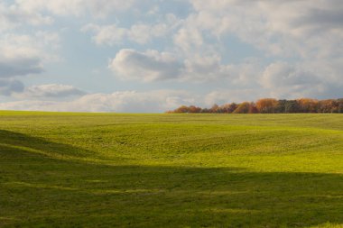 Bu, sonsuza kadar uzanan bir alanın güzel bir görüntüsü. Yemyeşil çimenlerin yuvarlanan tepeleri bulutlu gökyüzü ile parlıyor gibi görünüyor. Sonbahar yaprakları uzaklıktan görülebilir..