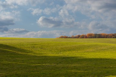 Bu, sonsuza kadar uzanan bir alanın güzel bir görüntüsü. Yemyeşil çimenlerin yuvarlanan tepeleri bulutlu gökyüzü ile parlıyor gibi görünüyor. Sonbahar yaprakları uzaklıktan görülebilir..
