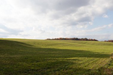 Bu, sonsuza kadar uzanan bir alanın güzel bir görüntüsü. Yemyeşil çimenlerin yuvarlanan tepeleri bulutlu gökyüzü ile parlıyor gibi görünüyor. Sonbahar yaprakları uzaklıktan görülebilir..