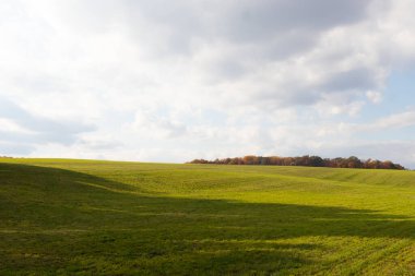 Bu, sonsuza kadar uzanan bir alanın güzel bir görüntüsü. Yemyeşil çimenlerin yuvarlanan tepeleri bulutlu gökyüzü ile parlıyor gibi görünüyor. Sonbahar yaprakları uzaklıktan görülebilir..
