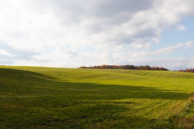 Bu, sonsuza kadar uzanan bir alanın güzel bir görüntüsü. Yemyeşil çimenlerin yuvarlanan tepeleri bulutlu gökyüzü ile parlıyor gibi görünüyor. Sonbahar yaprakları uzaklıktan görülebilir..