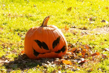Bu güzel balkabağı, Cadılar Bayramı 'ndan kalma çimenlerin üzerinde çürüyor. Büyük turuncu su kabağının korkunç bir yüzü var. Bu da onu bir Jack O Lantern yapıyor..