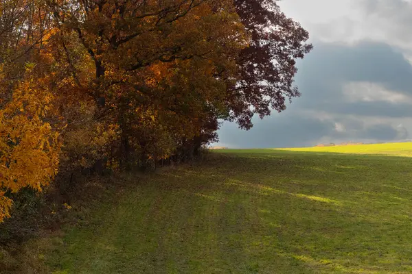 Yan taraftaki güz yapraklarının hoş görünüşü renk olarak böyle bir patlama yaratıyor. Altın sonbahar yaprakları düşmeye hazırlanıyor. Aşağıdaki yemyeşil çimenler parlıyor gibi görünüyor..